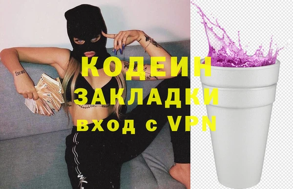 СК Новозыбков