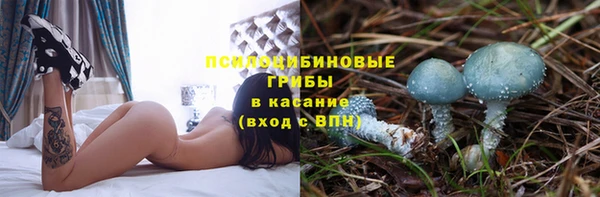 гидра Новокубанск